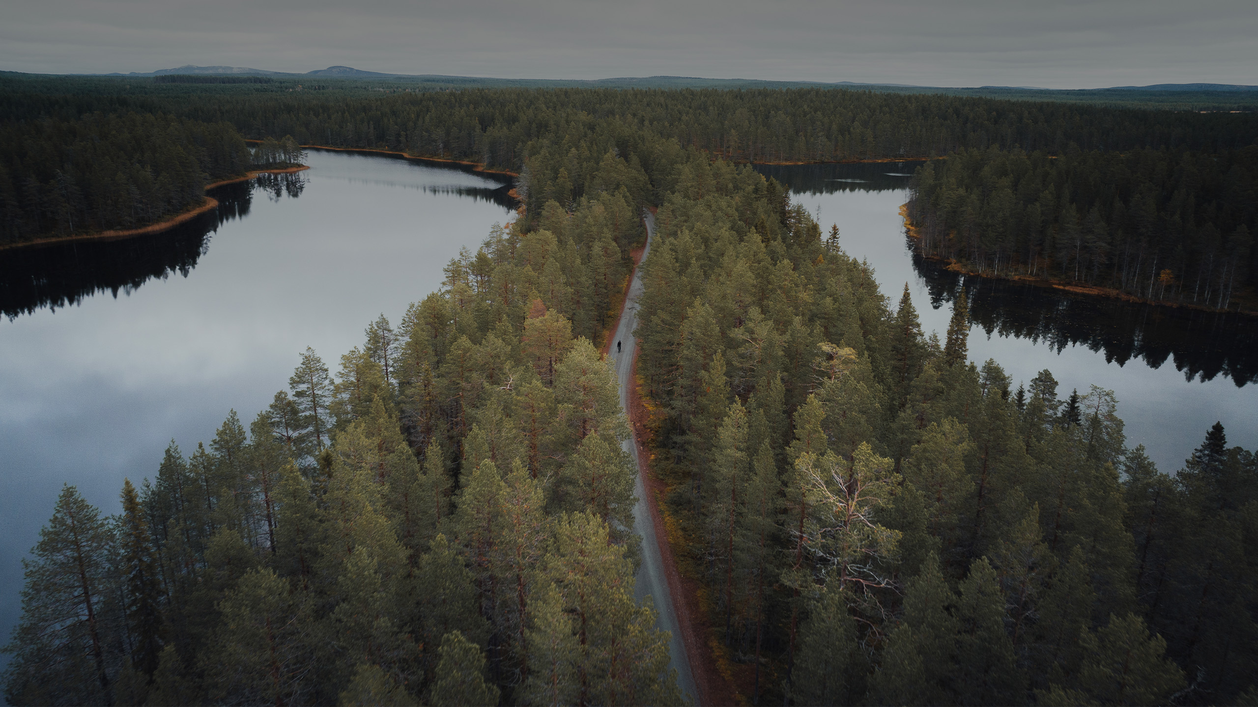 Ruka Suomi Fellscape